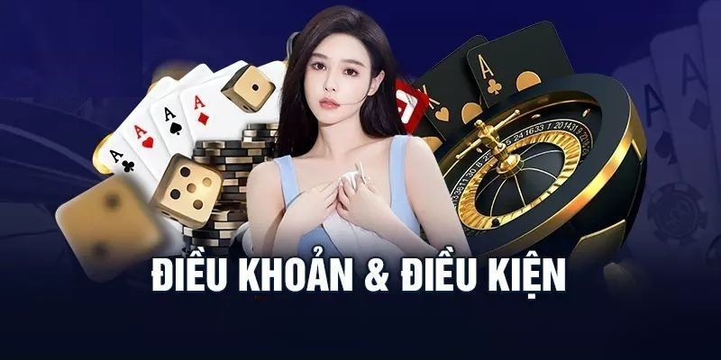 Điều khoản điều kiện N666