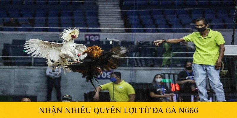 Tham gia ngay để tận hưởng nhiều quyền lợi từ N666